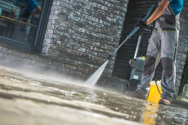 Best Sign and Awning Cleaning  in La Marque, TX