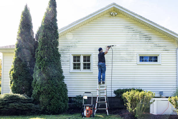 Best Roof Washing  in La Marque, TX